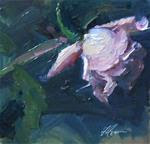 Pink Rose Study III - Posted on Tuesday, March 17, 2015 by Kelli Folsom