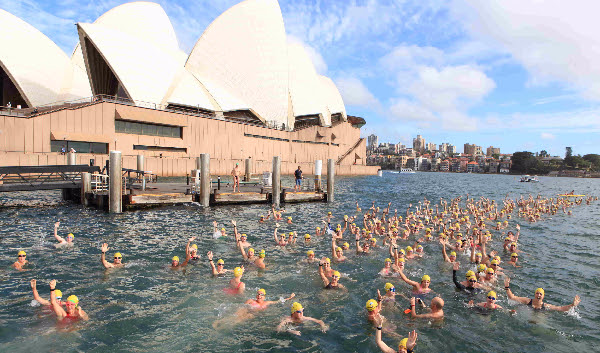 Optus Swim Sydney Harbour