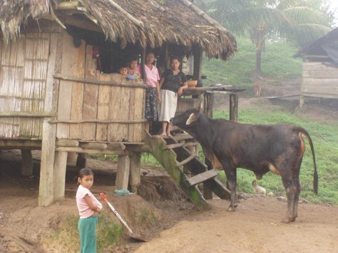 Local family and their cow in Nicaragua