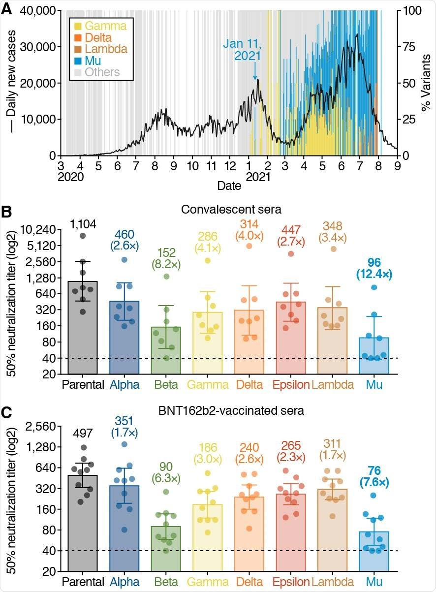 Characterization of the Mu variant. (A) SARS-CoV-2 epidemic in Colombia. New COVID-19 cases per day (black line, left y-axis) and percentage of different SARS-CoV-2 variants spreading in Colombia (right y-axis) are shown. The daily frequency of Gamma (P.1), Delta (B.1.617.2, AY.4, AY.5, AY.12), Lambda (C.37), Mu (B.1.621), and other variants are shown in the indicated colors. Note that there are a few Delta VOC (the currently most dominant variant in the world) and Lambda VOI (a variant mainly spreading in South American countries) have been isolated in this country so far. The date when the Mu variant was first isolated (January 11, 2021) is indicated in the figure. Virus neutralization assays. A neutralization assay was performed using pseudoviruses harboring the SARS-CoV-2 spike proteins of the Alpha, Beta, Gamma, Delta, Epsilon, Lambda, Mu variants or the D614G-harboring parental virus. Eight COVID-19 convalescent sera (B) and ten sera from BNT162b2-vaccinated individuals (C) were tested. The assay of each serum was performed in triplicate to determine the 50% neutralization titer, and each data point represents the 50% neutralization titer obtained with a serum sample against the indicated pseudovirus. The bar graphs indicate geometric mean titers with 95% confidence. The numbers over the bars indicate geometric mean titers. The numbers over the bars in parentheses (with