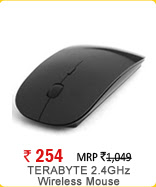 TERABYTE 2.4GHz Wireless Mouse WITH 2 AA BATTERY