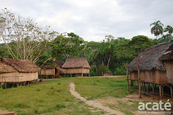 Aldeia dos Matsés. Foto: Acaté