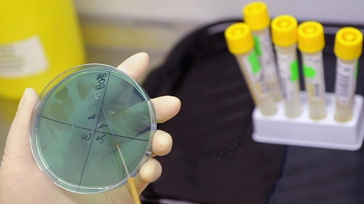 El Pentágono revela porqué envió paquetes con bacterias de ántrax a 7 países