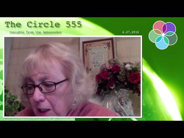 The Circle - Insights from the Ambassador Sddefault