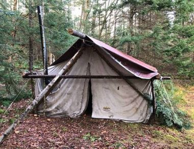 Tent in the woods made of various trees and tarps