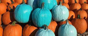 Halloween Scavenger Hunt – Oct 29th & Allergy Awareness Halloween Scavenger Hunt - Oct 29th & Allergy Awareness