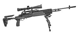 PEO M14 EBR.jpg