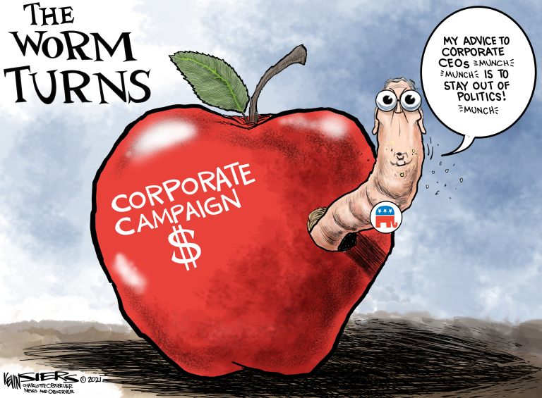 MITCH MCCONNELL, FREE SPEECH, CORPORATIONS, MONEY, CAMPAIGN DONATIONS, BASEBALL, VOTING RIGHTS, GEORGIA