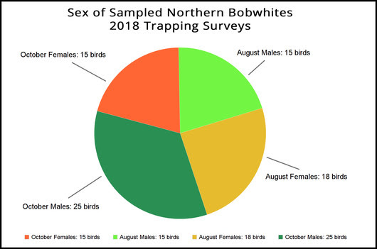 quail sex chart 2018