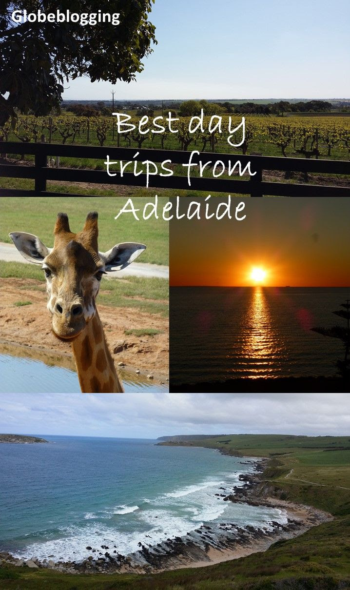 Best day trips from Adelaide Globeblogging Day trips, Australia