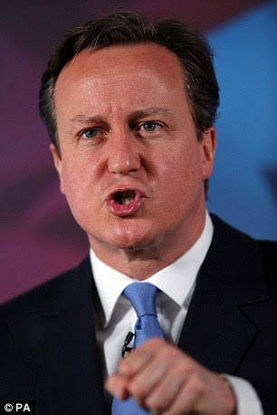 Making a point: PM David Cameron wants EU reform