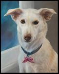 Millie, A Dog Portrait - Posted on Wednesday, February 18, 2015 by Jana Bouc