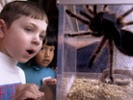 Smithsonian, PBS put free lessons online