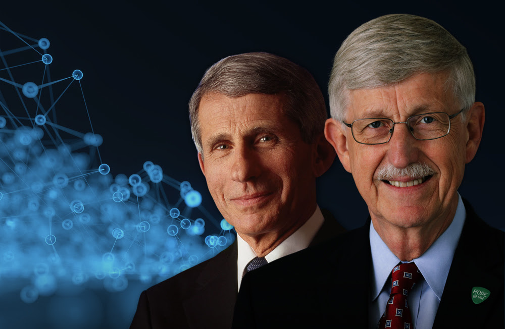 Drs Collins and Fauci
