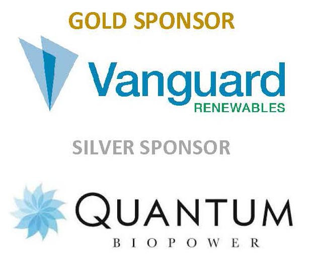 Vanguard _ Quantum logos.jpg