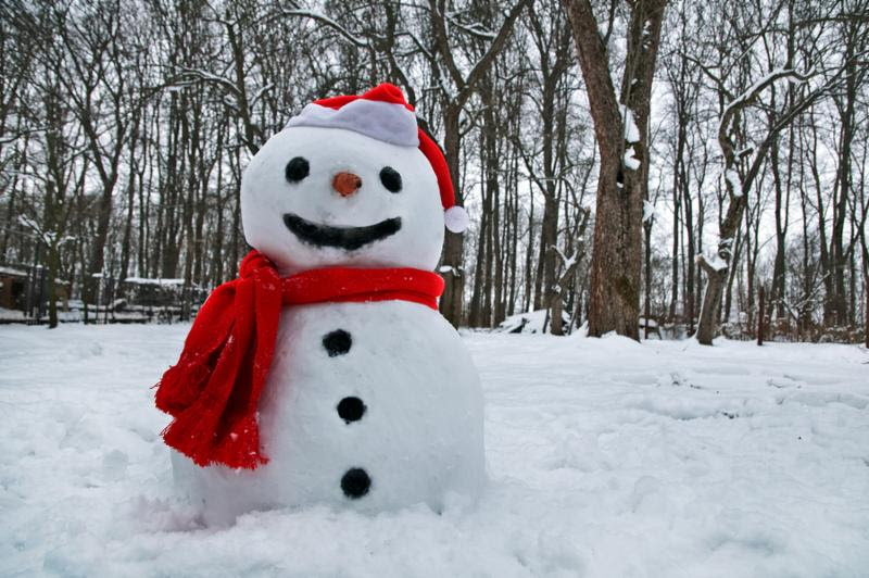 snowman_snowy_dec.jpg