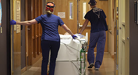 Hospital employees transfer patient in gurney down hallway