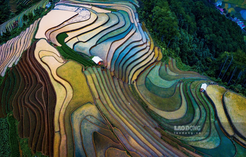 Không thẳng cánh cò bay như những cánh đồng ở vùng đồng bằng phù sa châu thổ, những thửa ruộng ở vùng cao ở Tây Bắc nói chung và Mù Cang Chải nói riêng cứ chồng lấn lên nhau từ lớp này đến lớp khác như những bậc thang bắc lên trời xanh.