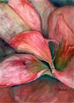 9x12 Amaryllis Flower Close Up Floral Watercolor Painting by Penny StewArt - Posted on Tuesday, January 27, 2015 by Penny Lee StewArt