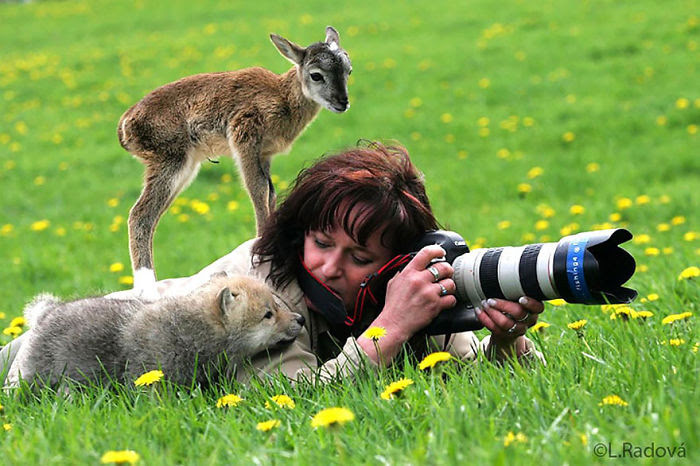 Nature                                                            Photographer