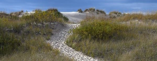 a well-trod sandy path winds through pale green and brown grasses to a sand dune on the shore, a steel blue sky stretches all the way across