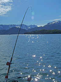 salmon fishing