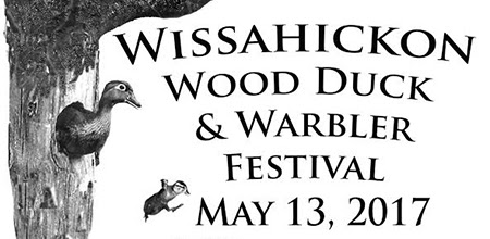 Wissahickon Wood Duck