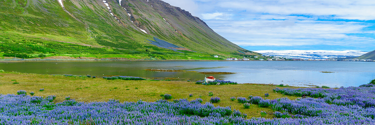 Iceland & Norway’s Arctic Explorer
