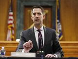 In this May 5, 2020, file photo Sen. Tom Cotton, R-Ark., speaks during a Senate Intelligence Committee nomination hearing for Rep. John Ratcliffe, R-Texas, on Capitol Hill in Washington. (AP Photo/Andrew Harnik, Pool, File)