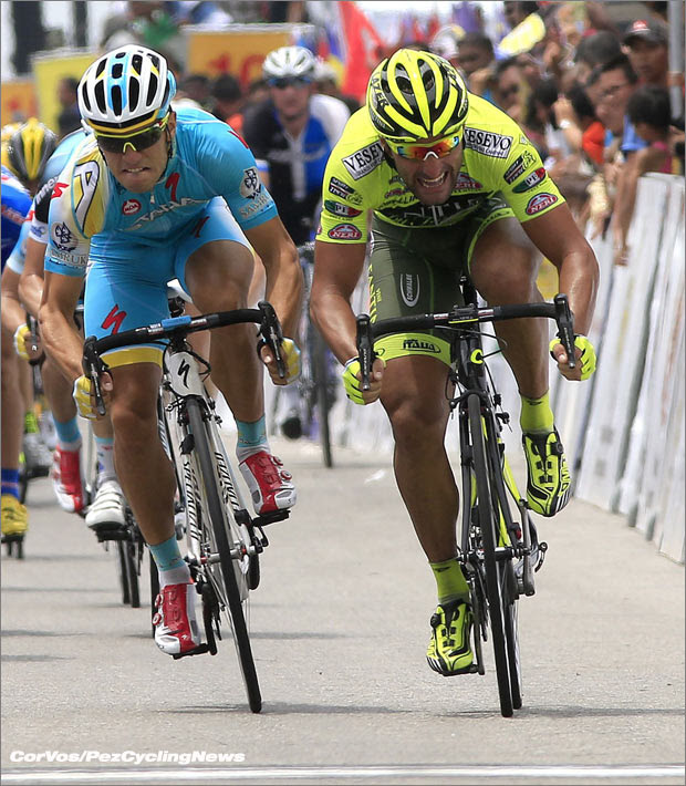cipollini-chicchiwin