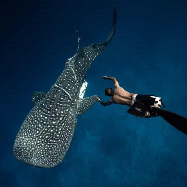 Lonu Ahmed, fundador de la Fuvahmulah Marine Foundation, libera un tiburón-tigre atrapado en el plastico, Foto Jono Allen