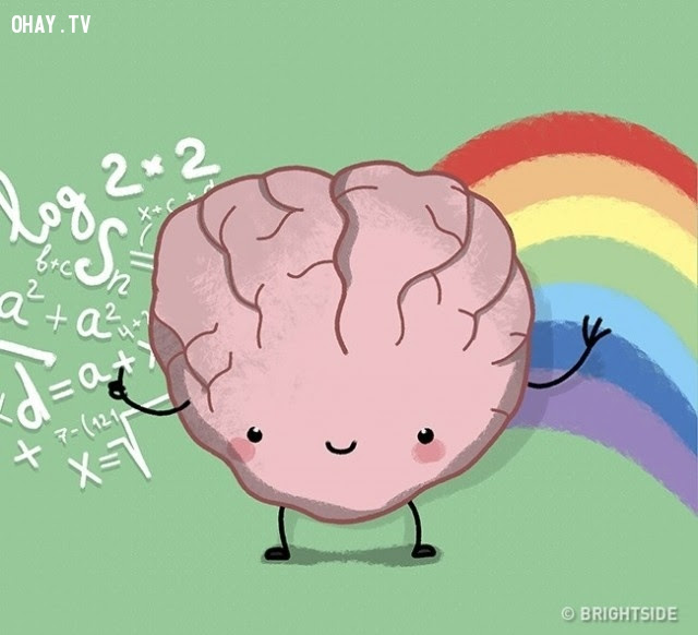 Lầm tưởng #7: Bán cầu não trái là nguồn gốc của sự sáng tạo; bán cầu não phải là nguồn gốc của logic,nhận thức sai lầm,cơ thể con người,lầm tưởng