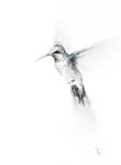 Hummingbird #10 - Posted on Saturday, January 10, 2015 by Irina Cumberland