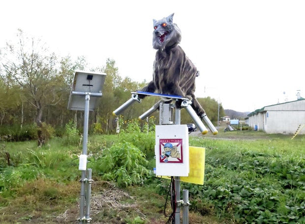 The ''Monster Wolf'' robot