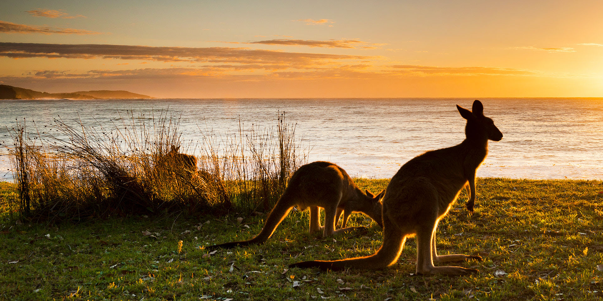 The Gold Coast Australia Best Secret Hangouts Marriott Traveler