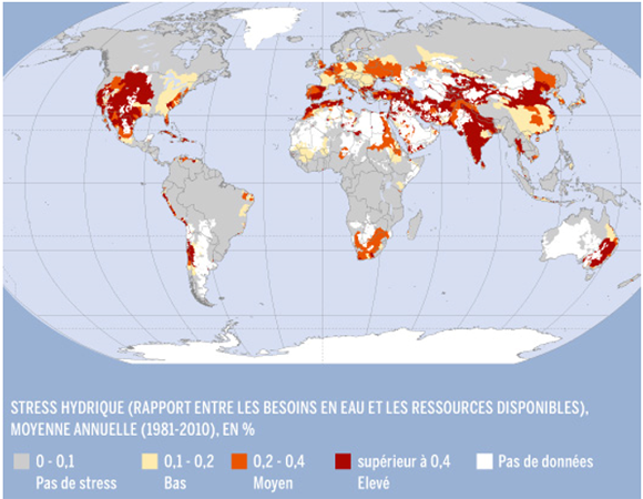 Stress hydrique