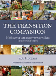 The Transition Companion cover