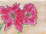 Poppies - Posted on Sunday, December 28, 2014 by Susan Medyn