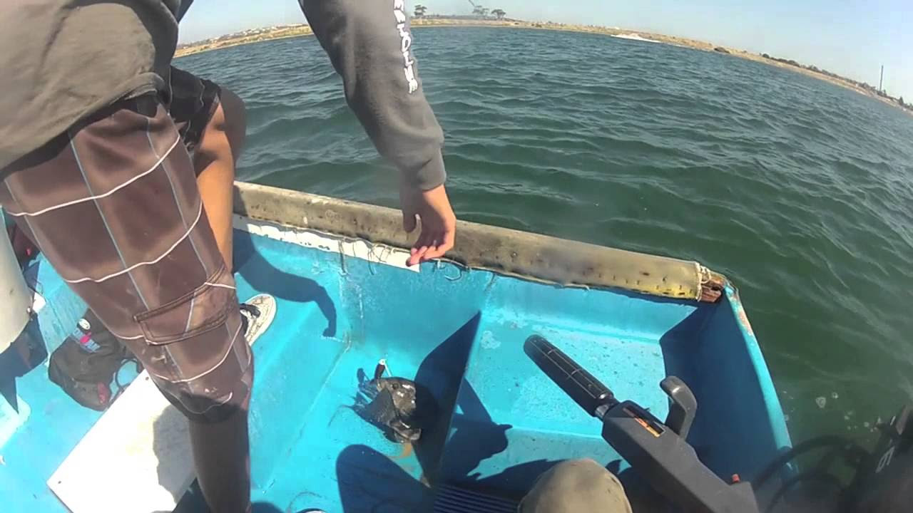 fishing mission bay san diego YouTube