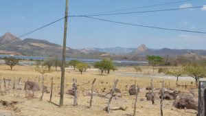 Al fondo de la comunidad La LLave, no hay un lago, es un megaproyecto de plantas solares