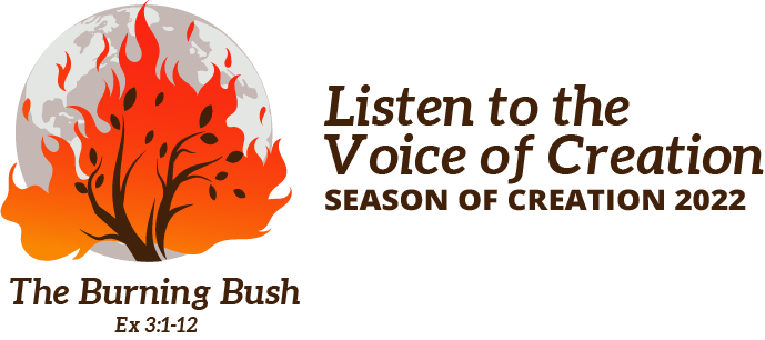 Listen to the voices of creation