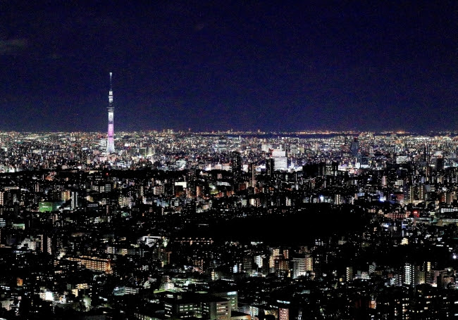 展望台からの夜景