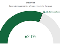 Voter Retention for Select Demographics