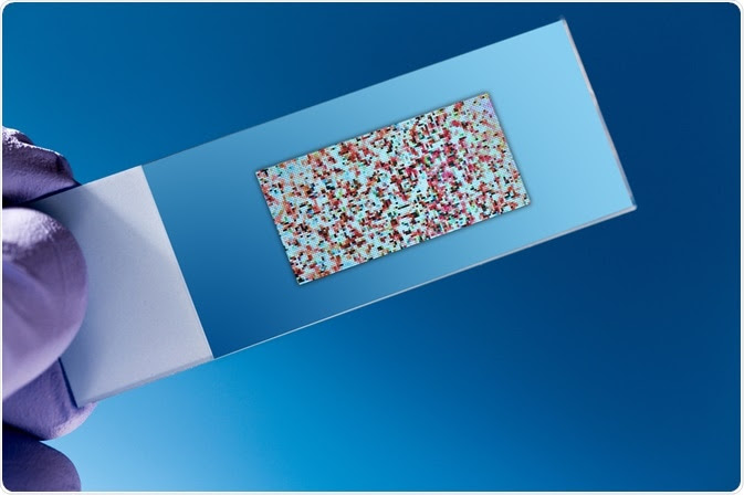 DNA Microarray