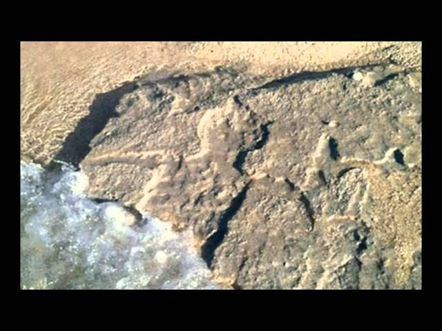 Huge Waves Provide Rare Glimpse of Hawaiian Petroglyphs  Sddefault