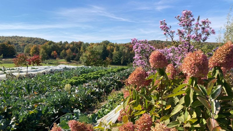 Survey on Agroforestry in Vermont