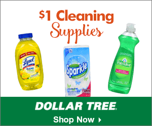 Cleaning Supplies Only $1 Each...