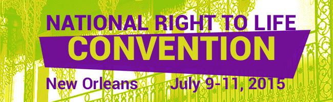 NRL Convention Banner