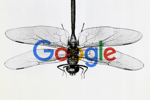 google dragonfly
