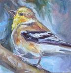 Yellow Finch, Original oil by Carol DeMumbrum - Day 5 - Posted on Tuesday, January 6, 2015 by Carol DeMumbrum